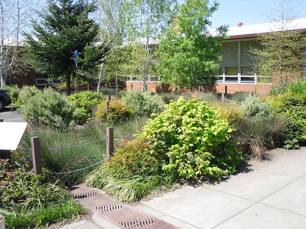 File:Rain garden with a decorative trench drain cover Portland OR April 2013 Photo credit EmilyBlueGreen.jpg
