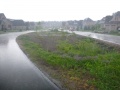 Large bioretention Meadows in the Glen .JPG