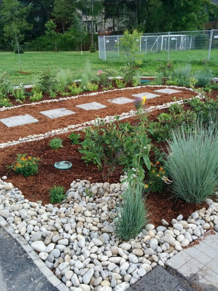 File:Kenollie Rain Garden.jpeg