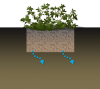Rain Garden Schematic.png
