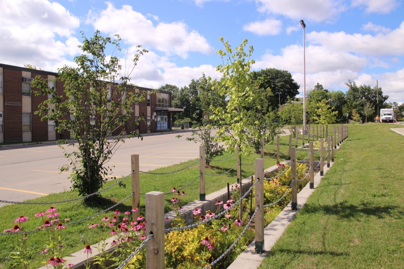 File:Elm Drive Bioretention.JPG