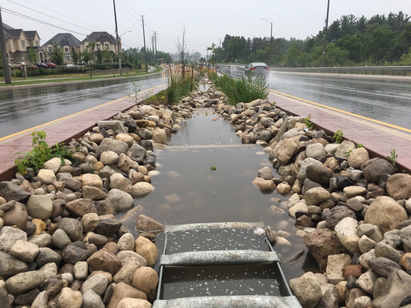 File:Forebay - Mississauga Road.JPG