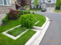 Wychwood Subdivision Brampton rain garden.JPG