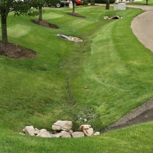 DAA Grass swales 1 550x550.jpg