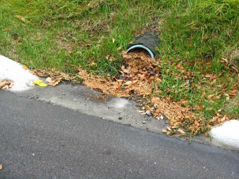 File:Clogged pipe.JPG