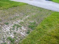 Plastic grid paving.jpg