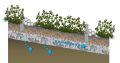 Bioswale.png