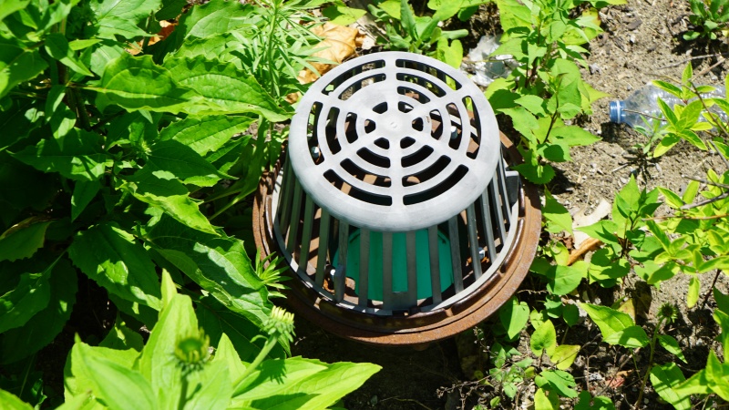 File:Overflow - Elm Drive.JPG