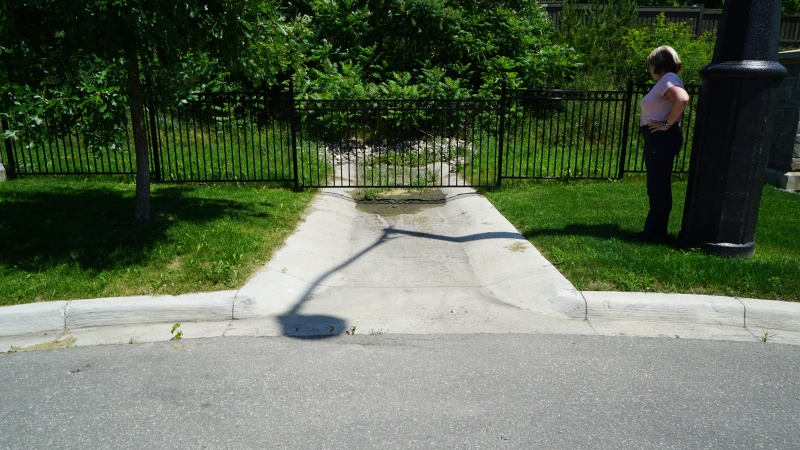 File:Inlet to bioswale - Wychwood.JPG