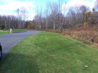 Vegetated filter strip 1.jpg