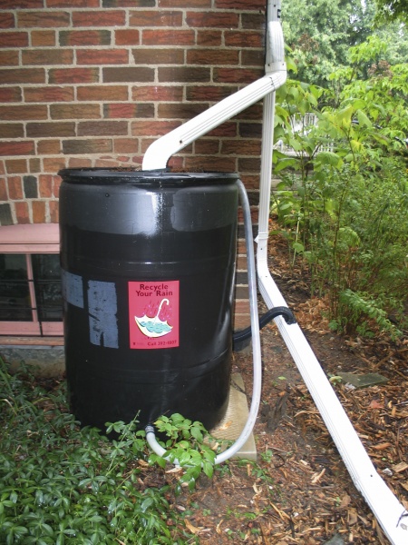File:Rose Hasner Rain barrel.jpg